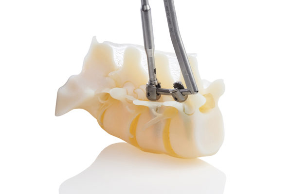 stratasys j750 digital anatomy model