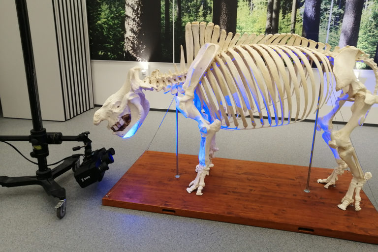 3D skenování kostry
