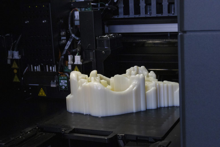 3D tisk lebky vlka